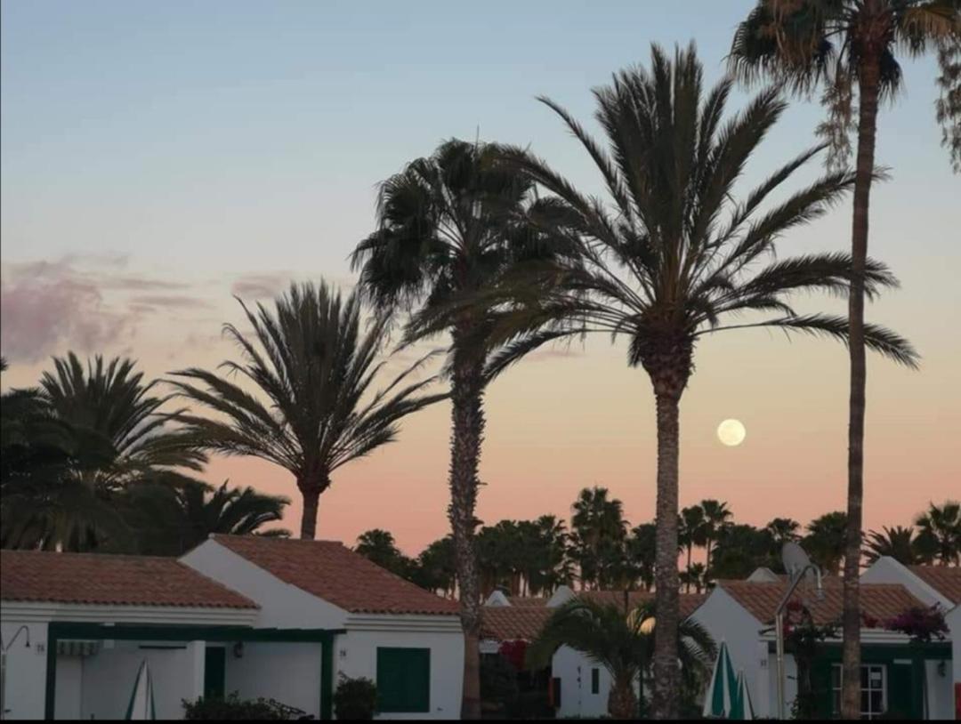 Maspalomas Casa La Loba Exteriör bild